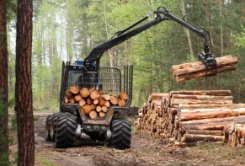 Consultation on Logs and Timber